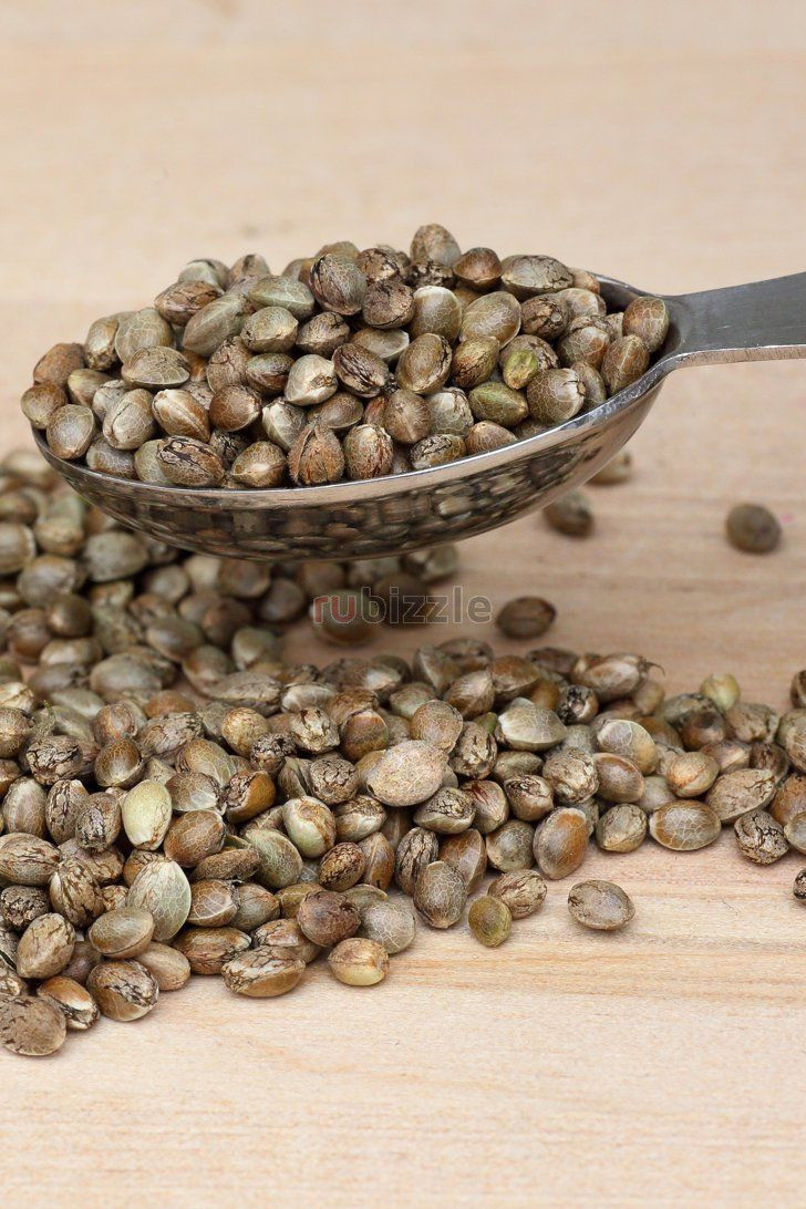 Where to Buy Marijuana Seeds Online