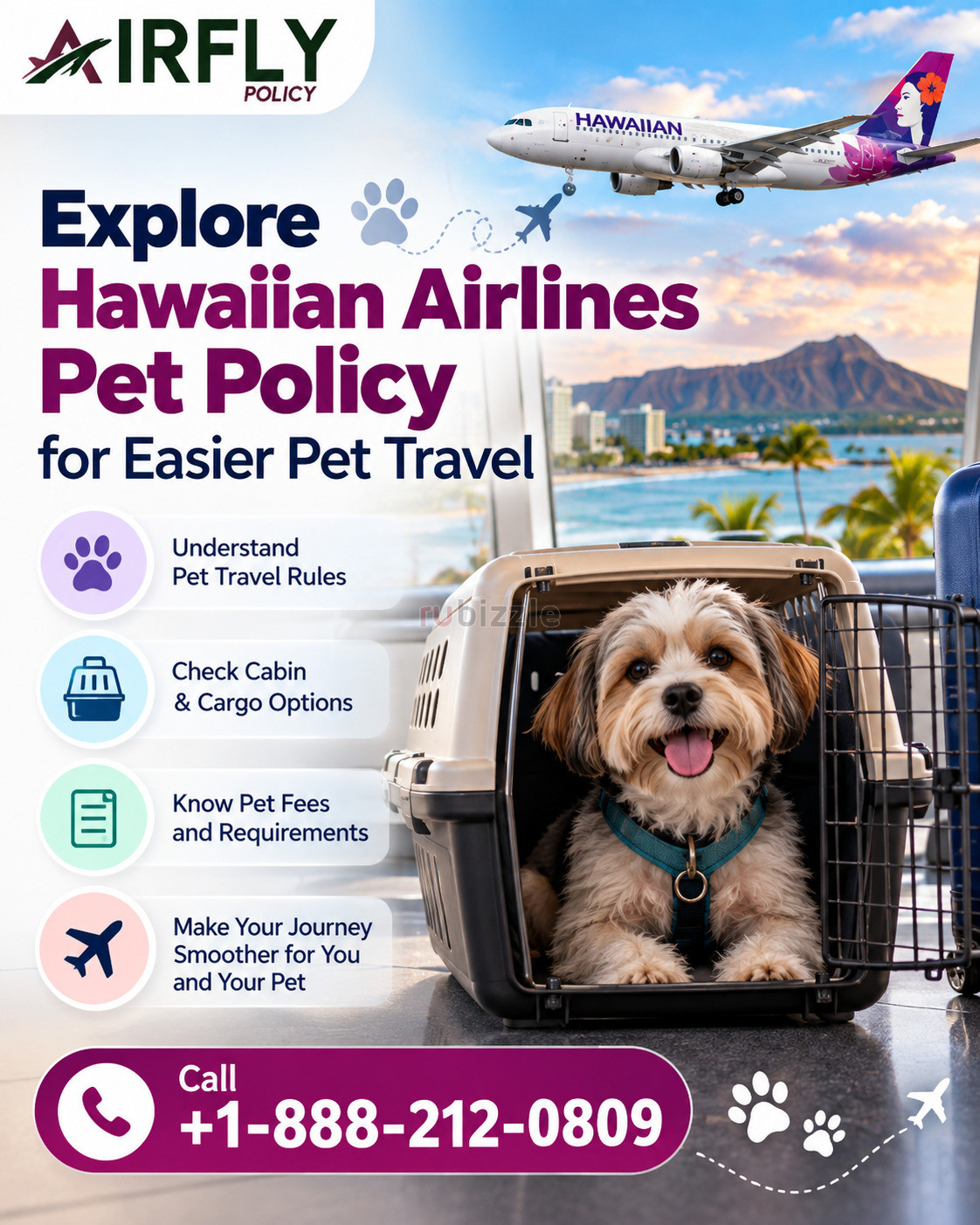 Explore Hawaiian Airlines Pet Policy for Easier Pet Travel