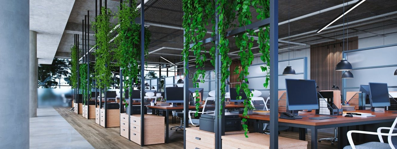 Biophilic Office Design UK | Harleen Mclean Sustainable Workspaces