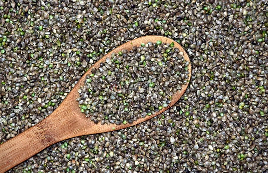 Where to Buy Marijuana Seeds Online