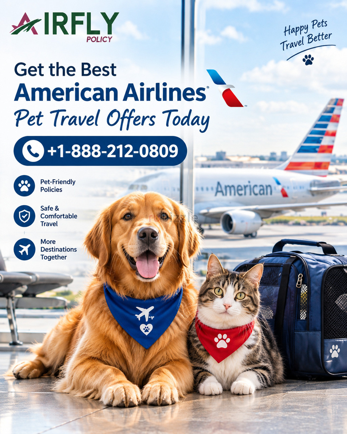 Get the Best American Airlines Pet Travel Offers Today